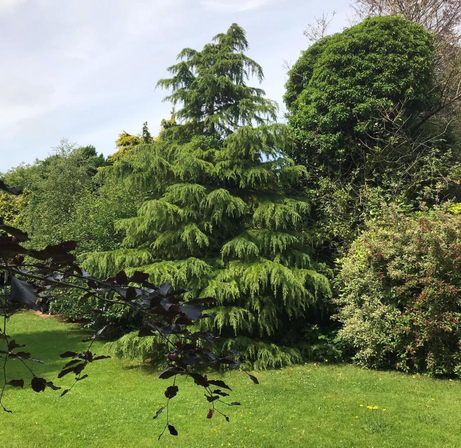 Ashtree House Hotel, Glasgow Airport & Πέισλι Εξωτερικό φωτογραφία